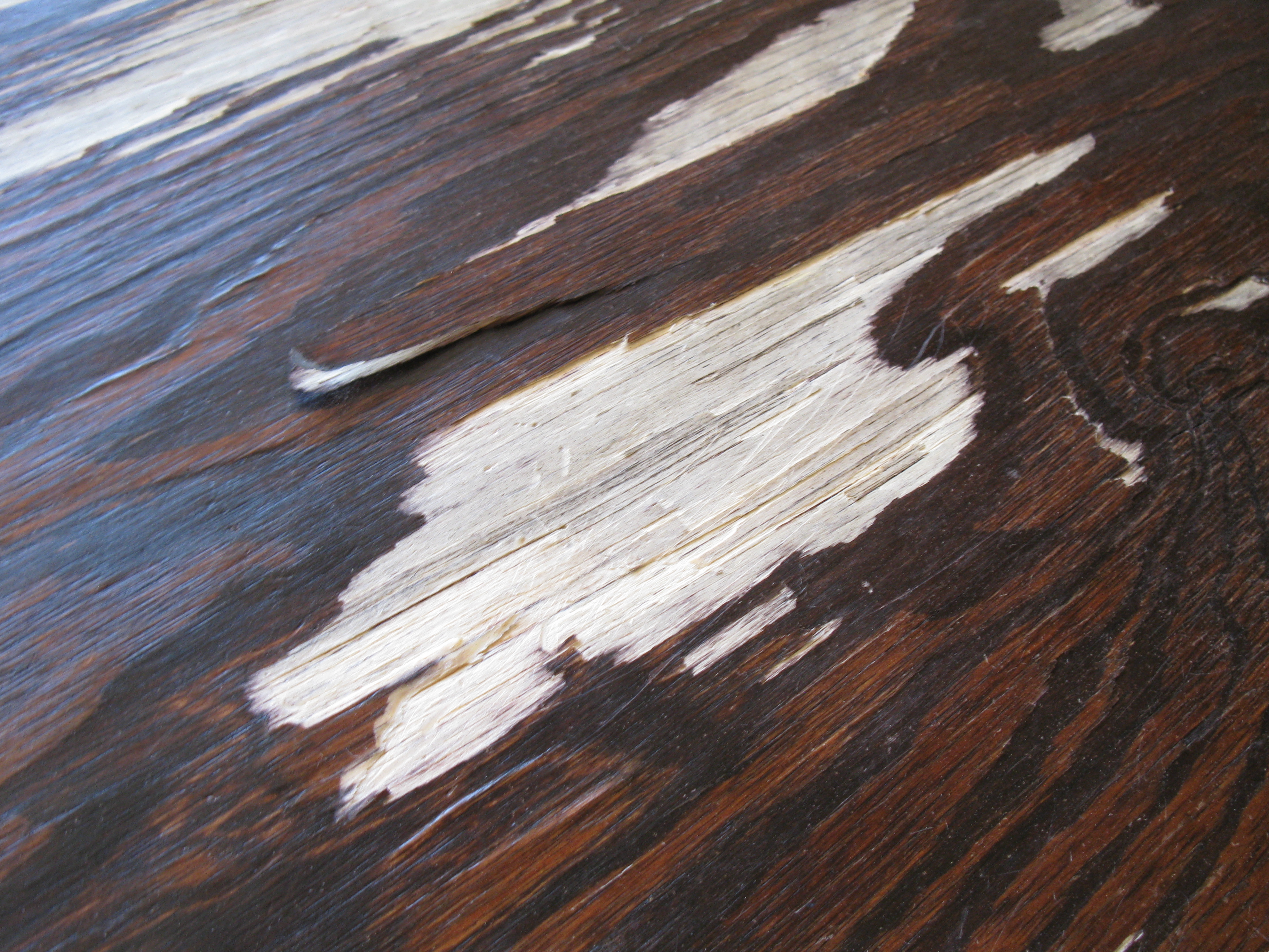 plywood-closeup-minor.jpg